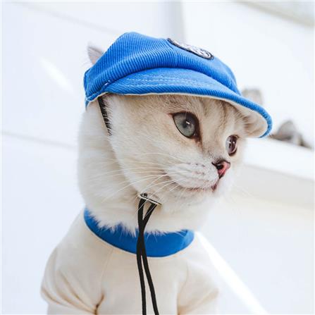 หมวกสัตว์เลี้ยง CLAWSET COOL KID ไซซ์ L สีน้ำเงิน_1