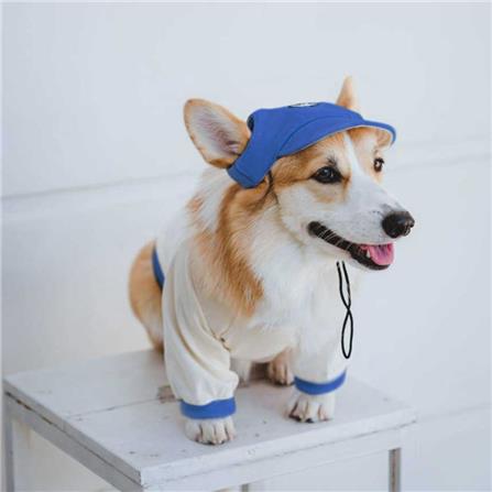 หมวกสัตว์เลี้ยง CLAWSET COOL KID ไซซ์ M2 สีน้ำเงิน_3