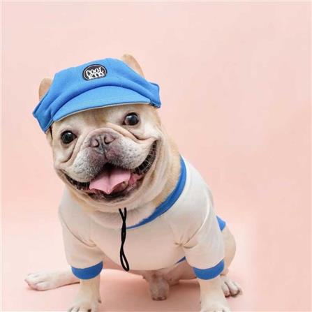 หมวกสัตว์เลี้ยง CLAWSET COOL KID ไซซ์ M2 สีม่วง_3