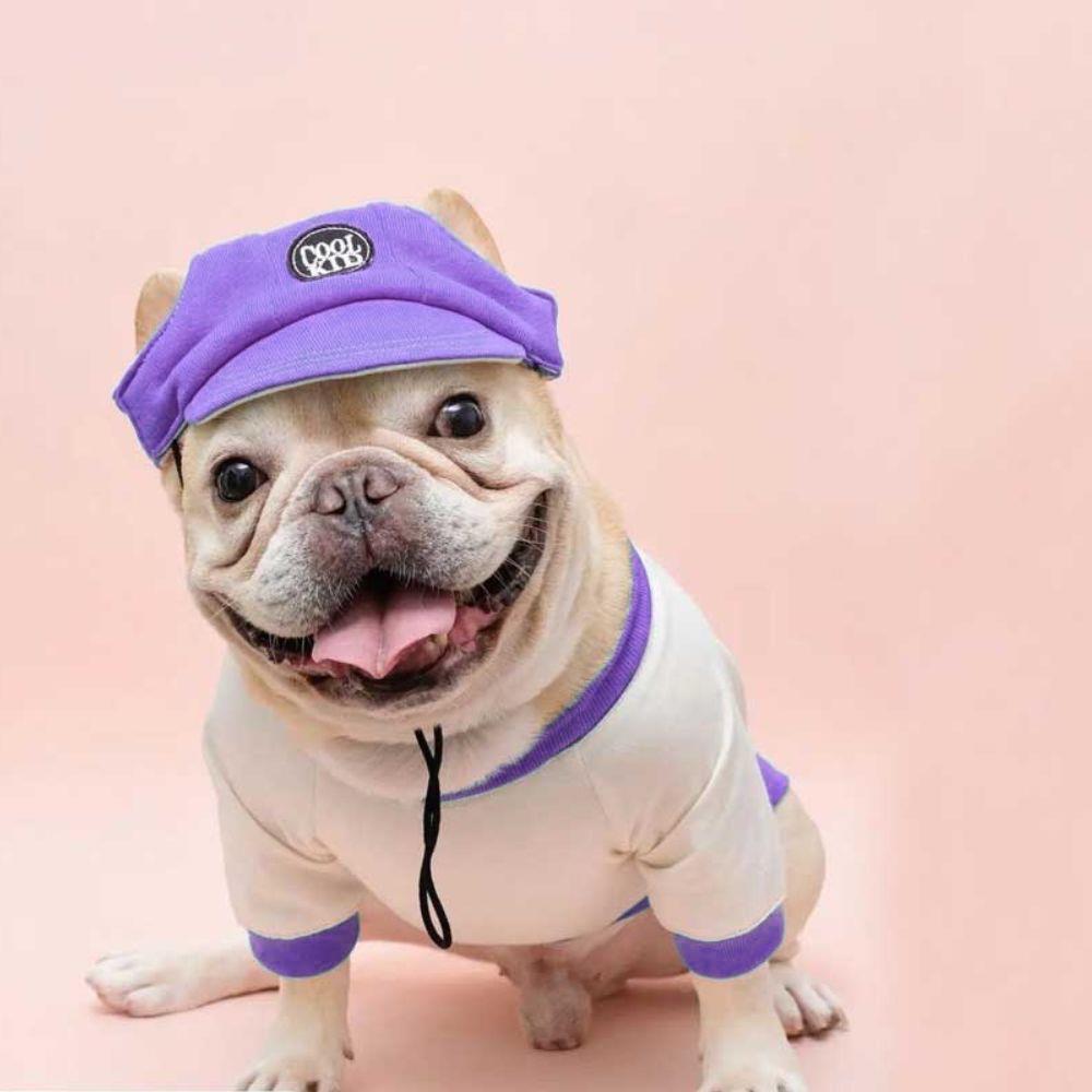 หมวกสัตว์เลี้ยง CLAWSET COOL KID ไซซ์ M สีม่วง