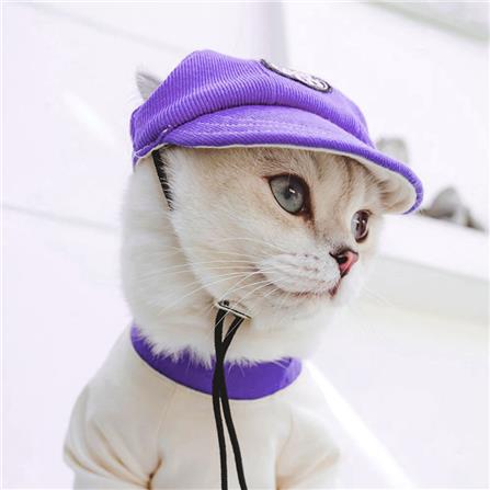 หมวกสัตว์เลี้ยง CLAWSET COOL KID ไซซ์ M สีม่วง_2