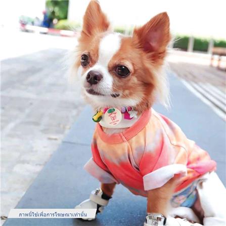 เสื้อสัตว์เลี้ยง CLAWSET ลายชีวิตสู้กลับ ไซซ์ 2XL สีดำ_4