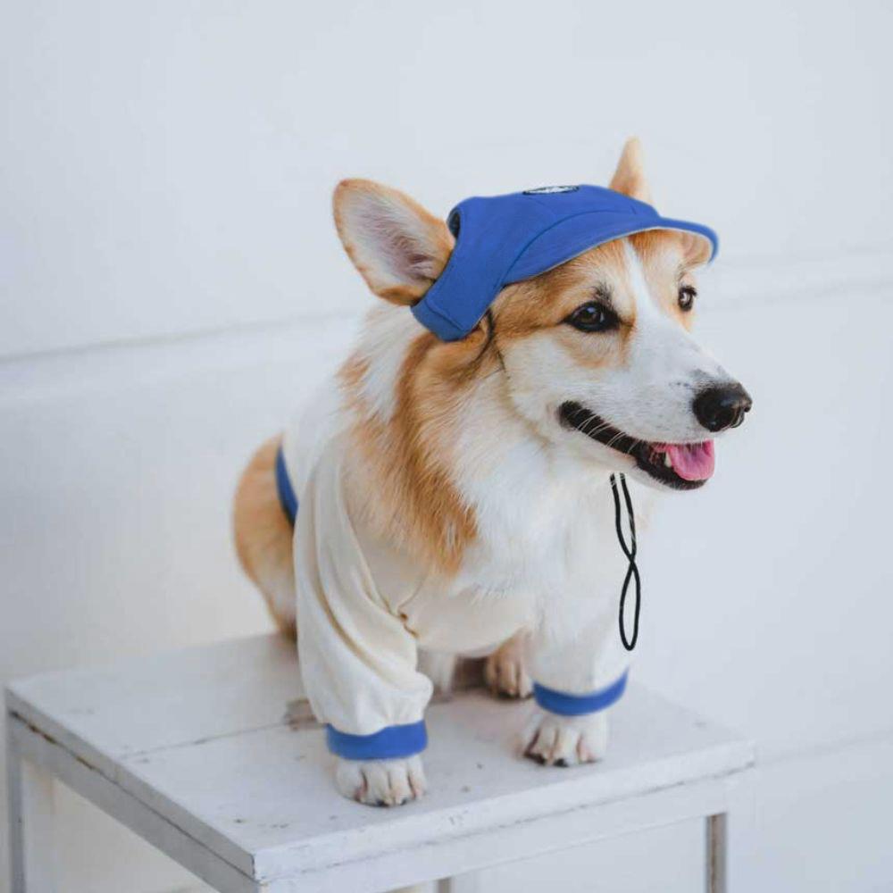 หมวกสัตว์เลี้ยง CLAWSET COOL KID ไซซ์ M สีน้ำเงิน