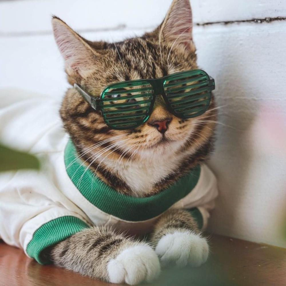 เสื้อสัตว์เลี้ยง CLAWSET COOL KID ไซซ์ 3XL สีเขียว