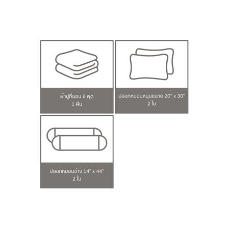 ชุดผ้าปูที่นอน 6 ฟุต 5 ชิ้น FACINO PRINT FA073_5