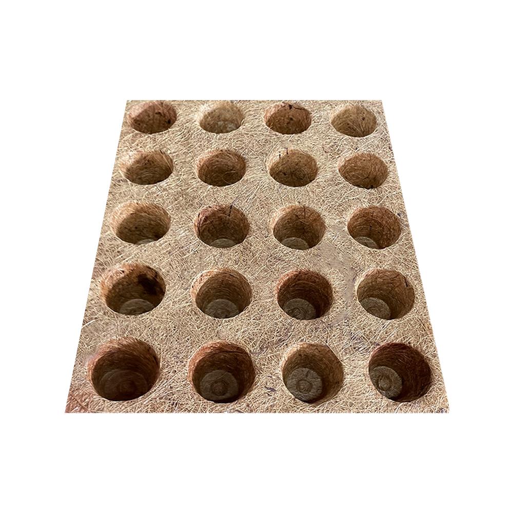 ถาดเพาะชำใยมะพร้าว SPRING 20 หลุม สีน้ำตาล