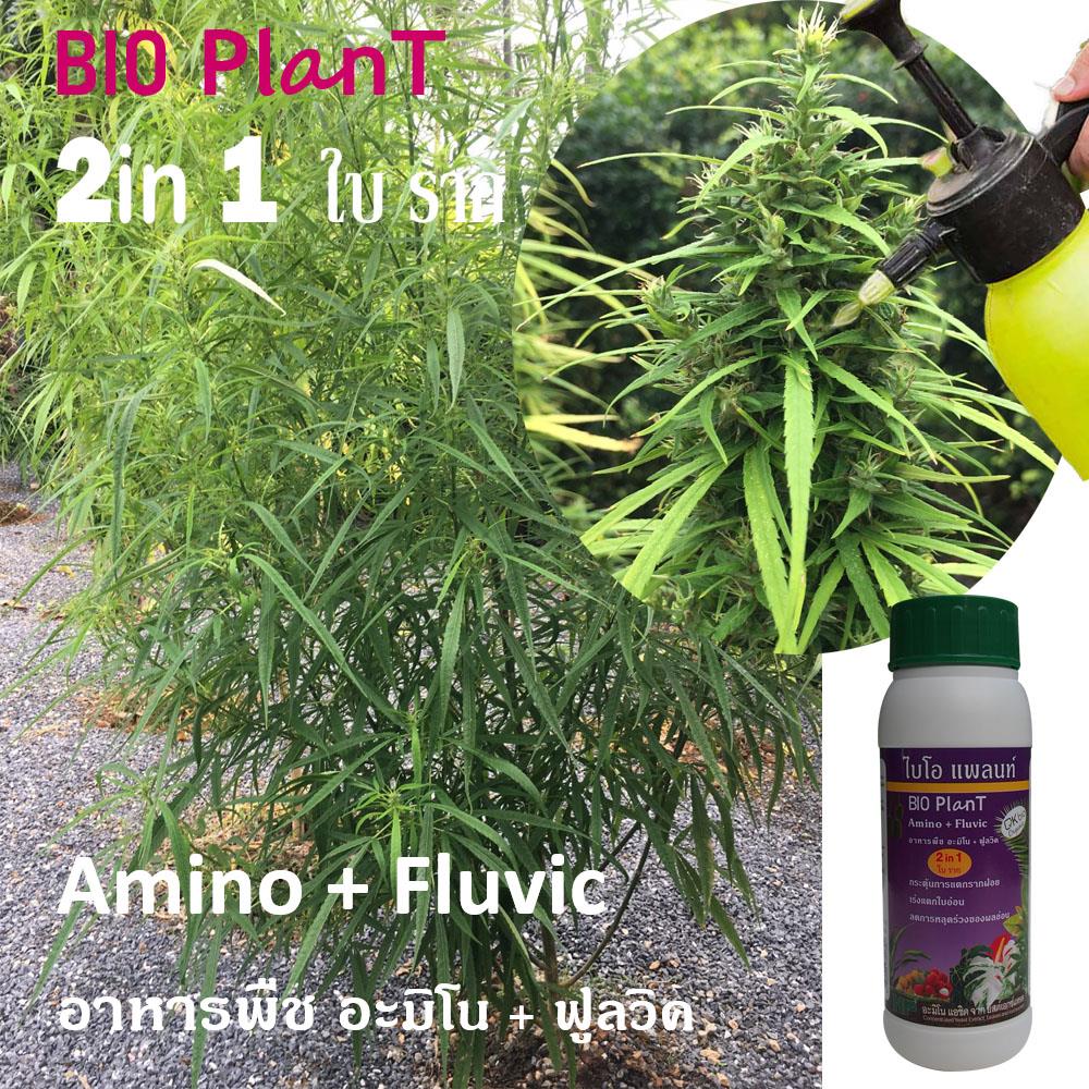 อาหารพืช ไบโอ แพลนท์ อะมิโน+ฟลูวิค NP 200 มล.