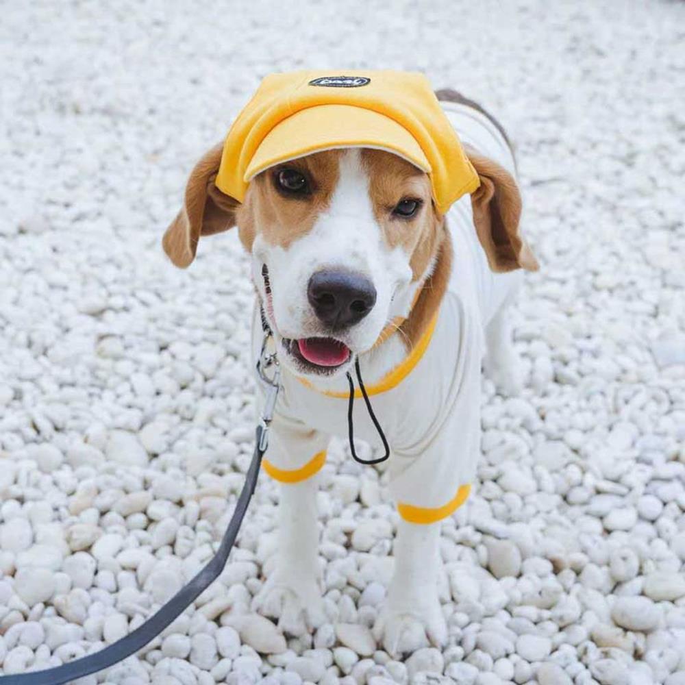 หมวกสัตว์เลี้ยง CLAWSET COOL KID ไซซ์ M  สีเหลือง