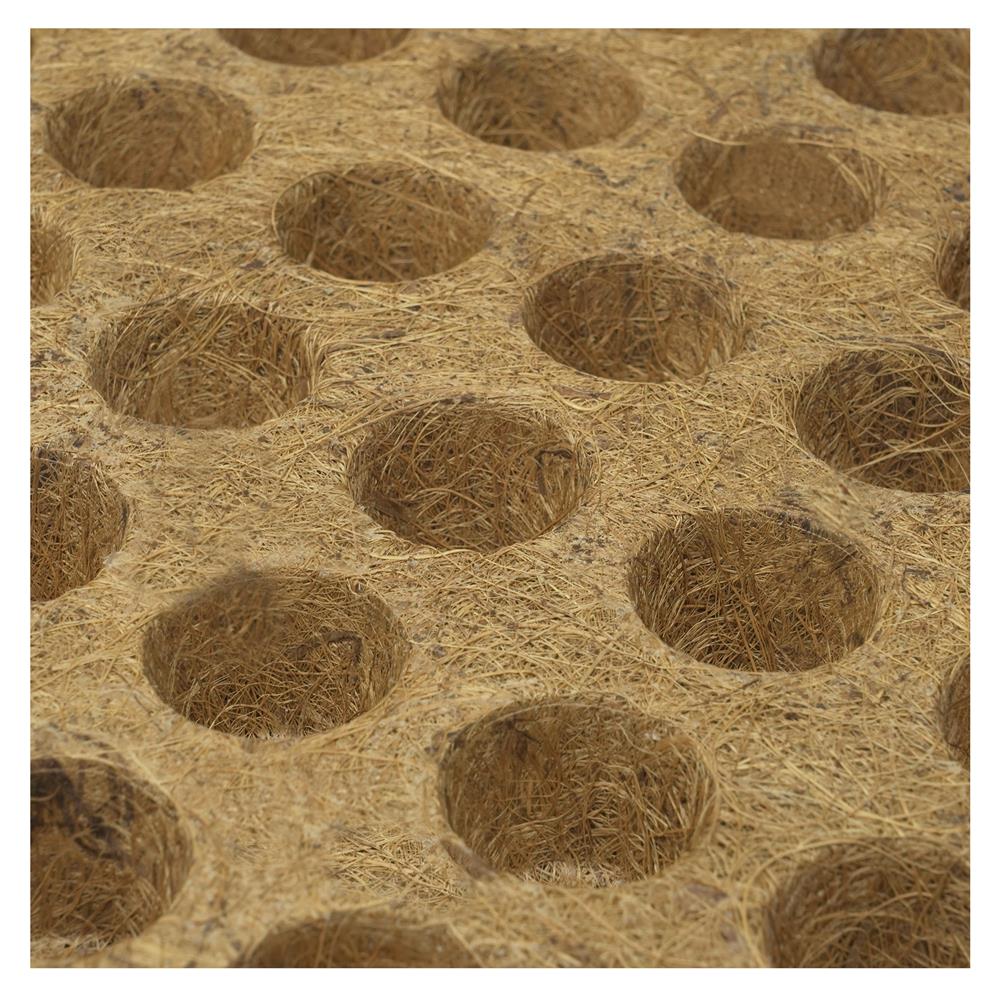 ถาดเพาะชำใยมะพร้าว SPRING 80 หลุม สีน้ำตาล