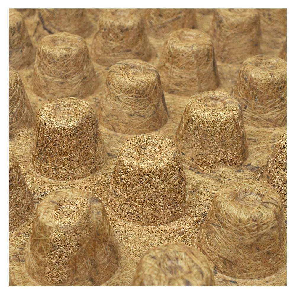 ถาดเพาะชำใยมะพร้าว SPRING 80 หลุม สีน้ำตาล