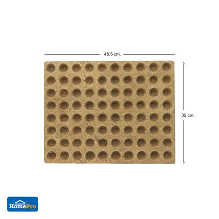 ถาดเพาะชำใยมะพร้าว SPRING 80 หลุม สีน้ำตาล_8