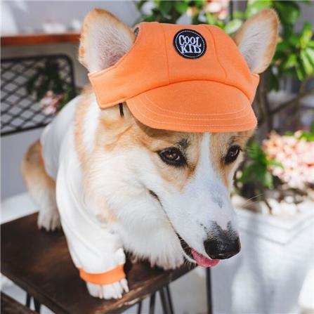 หมวกสัตว์เลี้ยง CLAWSET COOL KID ไซซ์ L สีแซลมอน_1