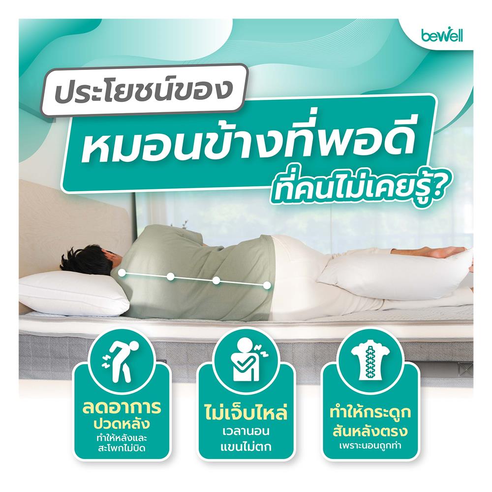 หมอนข้าง ใยสังเคราะห์ BEWELL MICRODOWN สีขาว