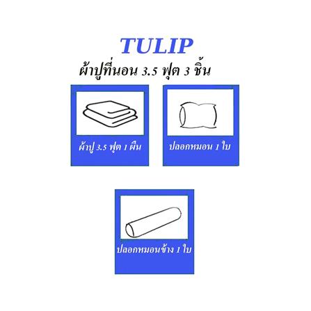 ชุดผ้าปูที่นอน 3.5 ฟุต 3 ชิ้น TULIP ทูนหัวของบ่าว 60014-DLC124_4