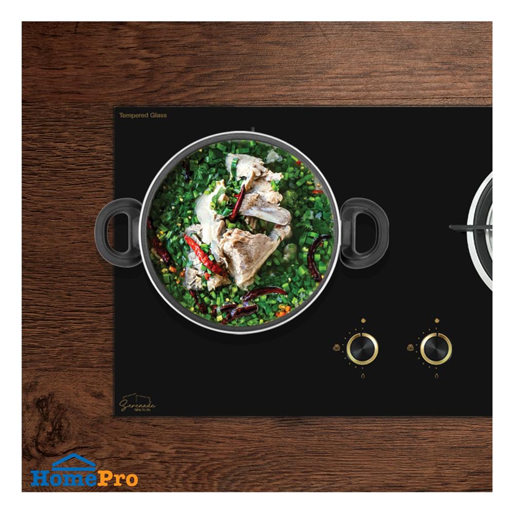 เตาฝังแก๊ส AXIA SRN76-2G 76 ซม.