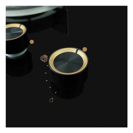 เตาฝังแก๊ส AXIA SRN76-2G 76 ซม._4