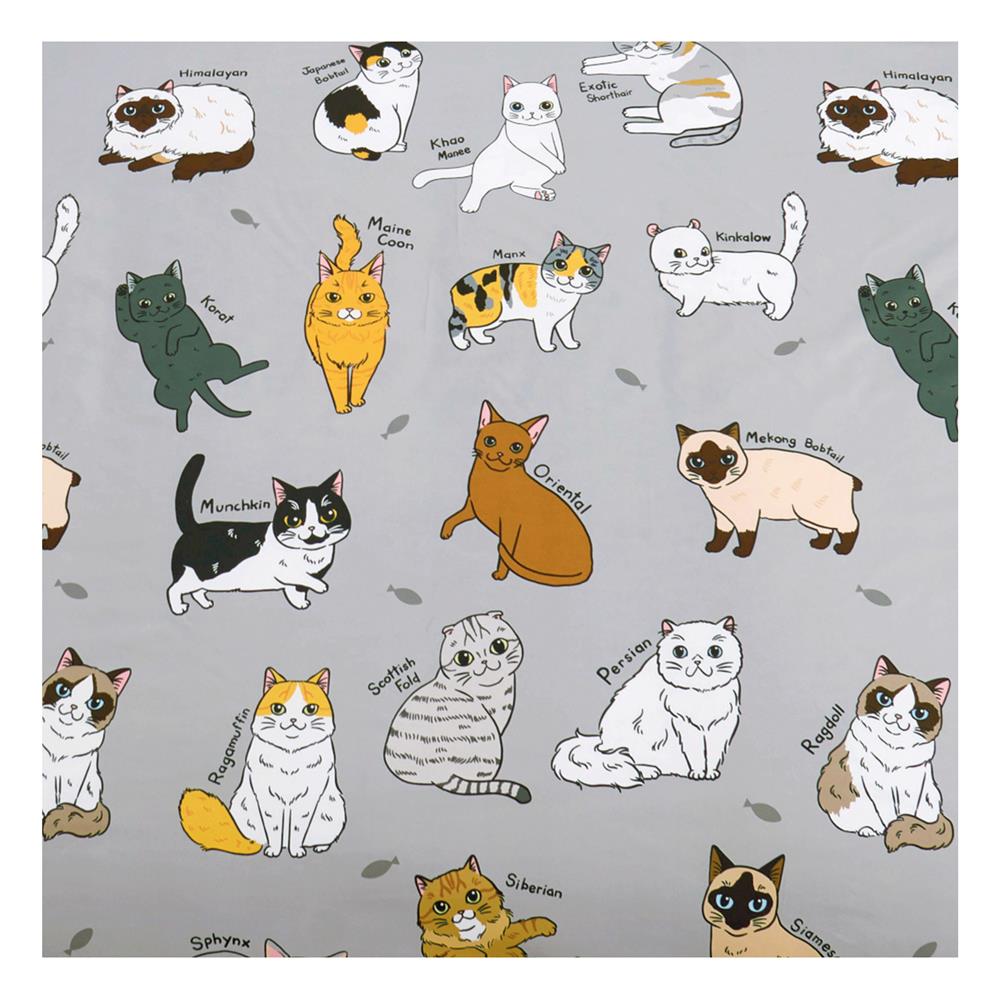 ผ้านวม TULIP ทูนหัวของบ่าว 60X80 นิ้ว 60258-DLD002