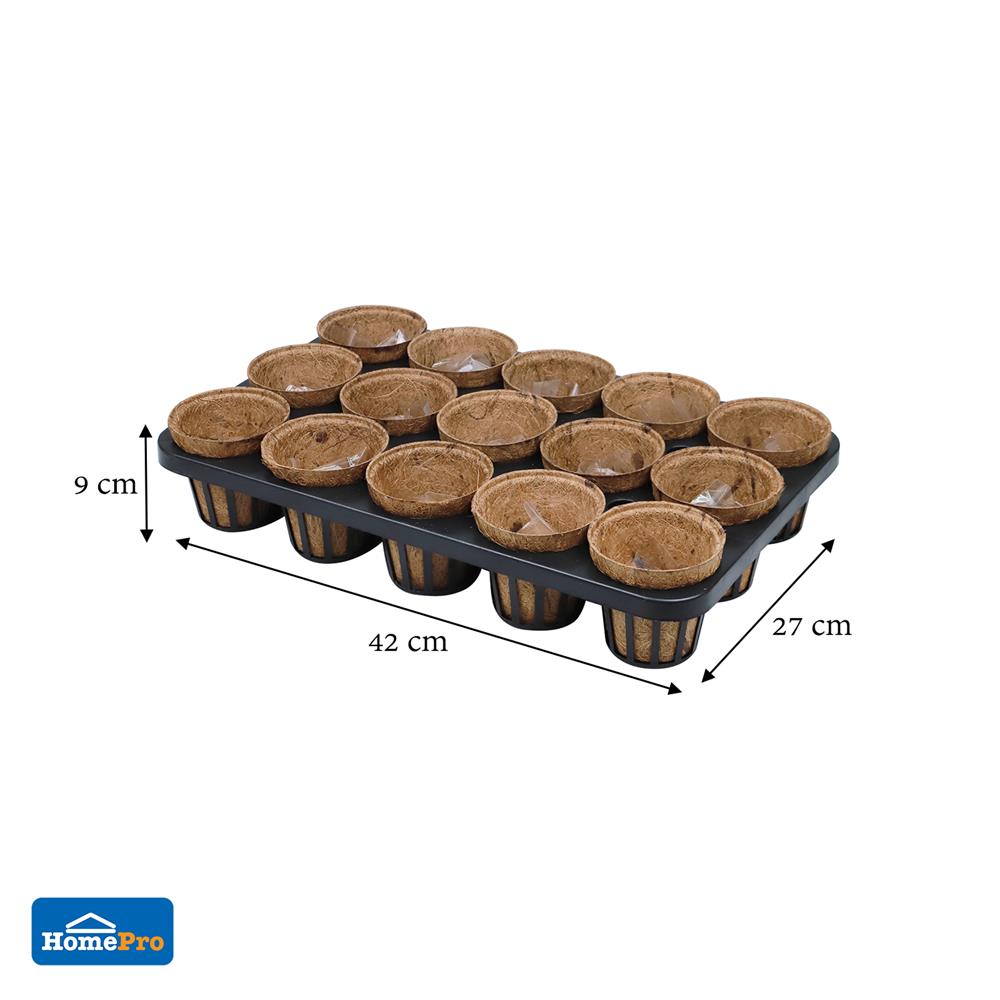 ถาดเพาะชำใยมะพร้าว 15 หลุม SPRING สีน้ำตาล