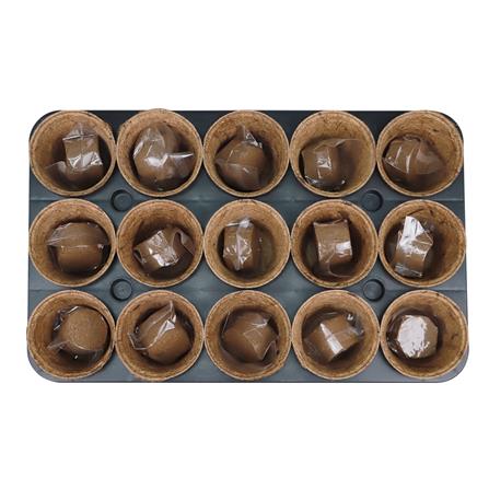 ถาดเพาะชำใยมะพร้าว 15 หลุม SPRING สีน้ำตาล_3