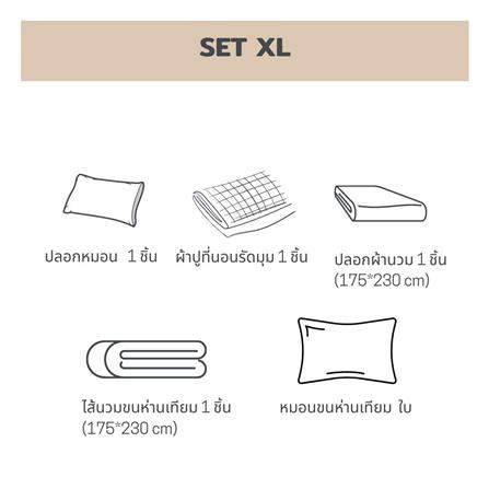 ชุดผ้าปูที่นอน 3.5 ฟุต 5 ชิ้น BENEATH OFF WHITE_9