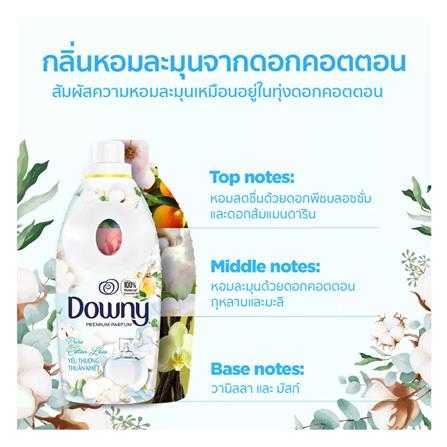 รีฟิลน้ำยาปรับผ้านุ่ม DOWNY PURE COTTON LOVE 2.1 ลิตร_5