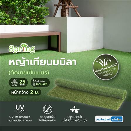 หญ้าเทียมมนิลา ความสูงหญ้า 25 มม. หน้ากว้าง 2 ม. SPRING (ตัดขายเป็นเมตร)_5