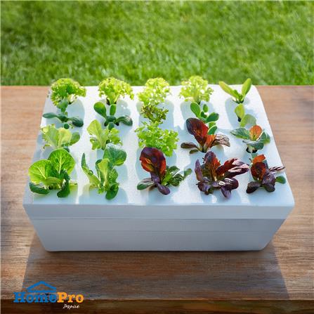 กล่องโฟมเพาะปลูกครบชุด SPRING 20 หลุม สีขาว_4