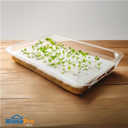 ฟองน้ำปลูกผักไฮโดรโปนิกส์ SPRING แพ็ก 10_3