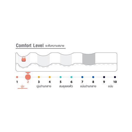 ที่นอน 3.5 ฟุต HOME LIVING STYLE WELLINGTON_3
