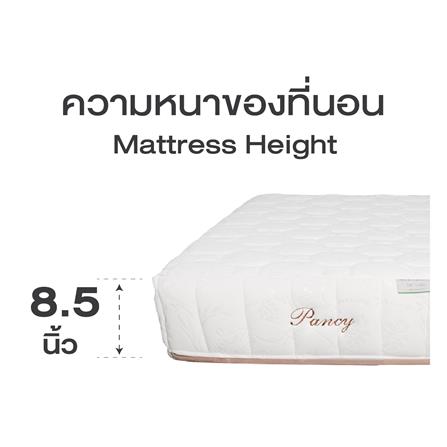 ที่นอน 5 ฟุต SERA GRANDE PANCY_8