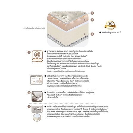 ที่นอน 5 ฟุต SERA GRANDE PANCY_5