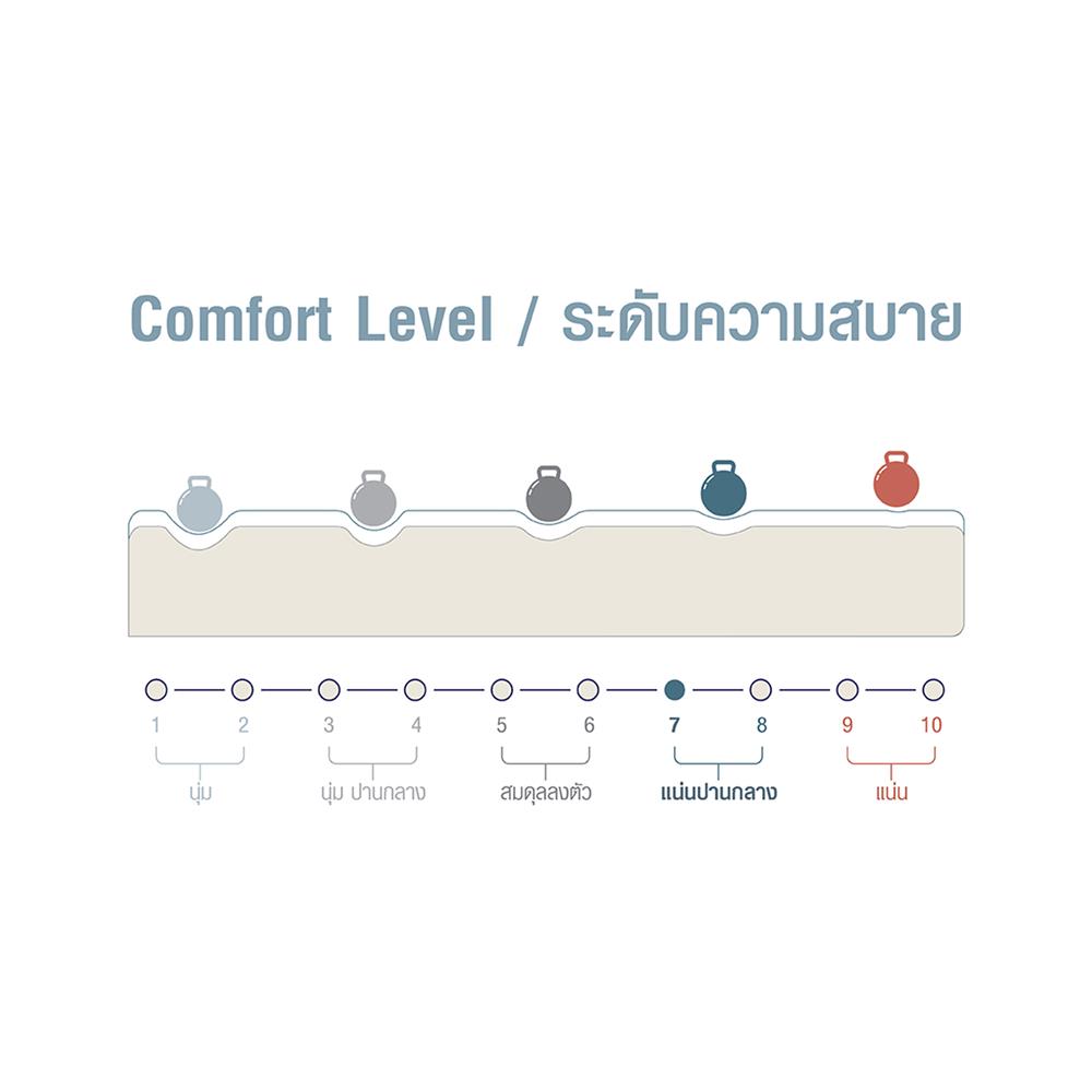 ที่นอน 6 ฟุต SERA GRANDE PANCY