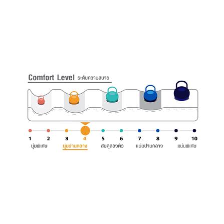 ที่นอน 3.5 ฟุต HOME LIVING STYLE ORCHARD_5