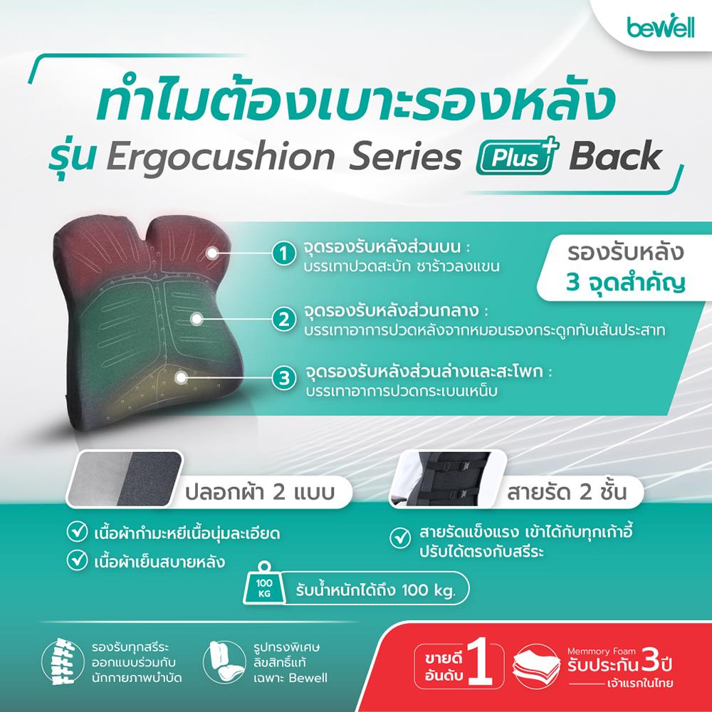 เบาะรองหลัง BEWELL EC-03 สีเทา