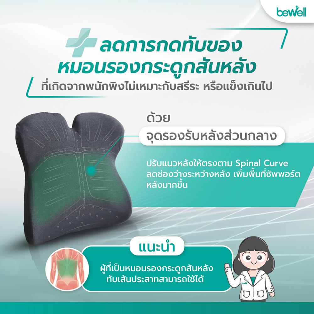 เบาะรองหลัง BEWELL EC-03 สีเทา