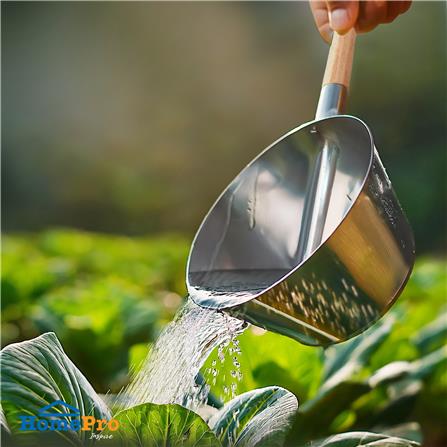 ที่ตักน้ำสังกะสี SPRING 10 นิ้ว_4