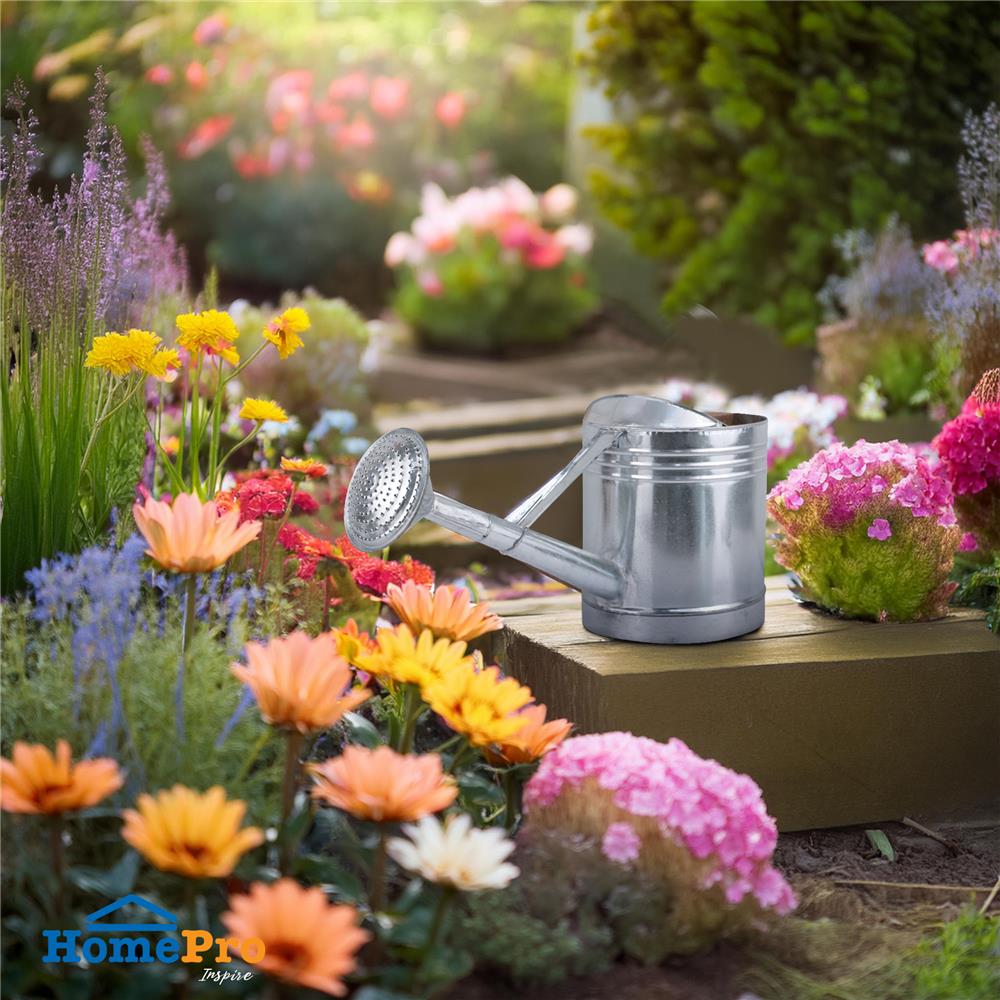 บัวรดน้ำสังกะสี SPRING ขนาดเล็ก