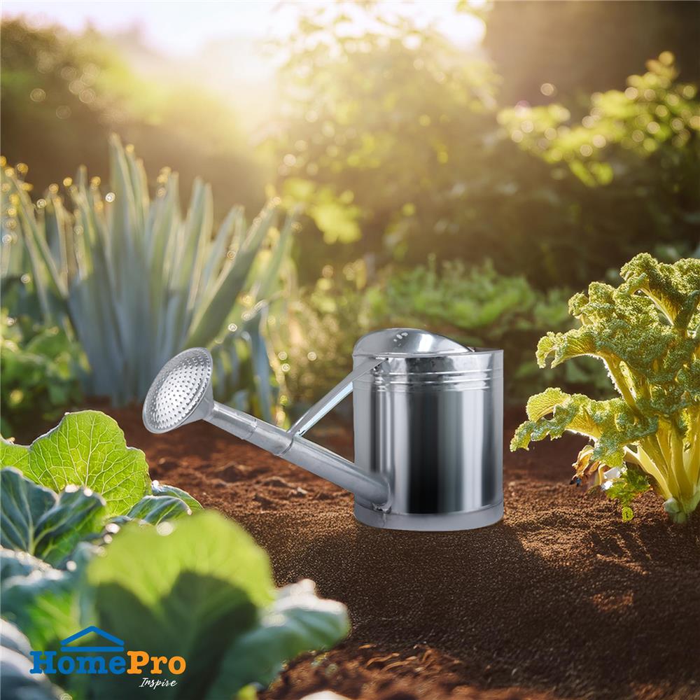 บัวรดน้ำสังกะสี SPRING ขนาดใหญ่