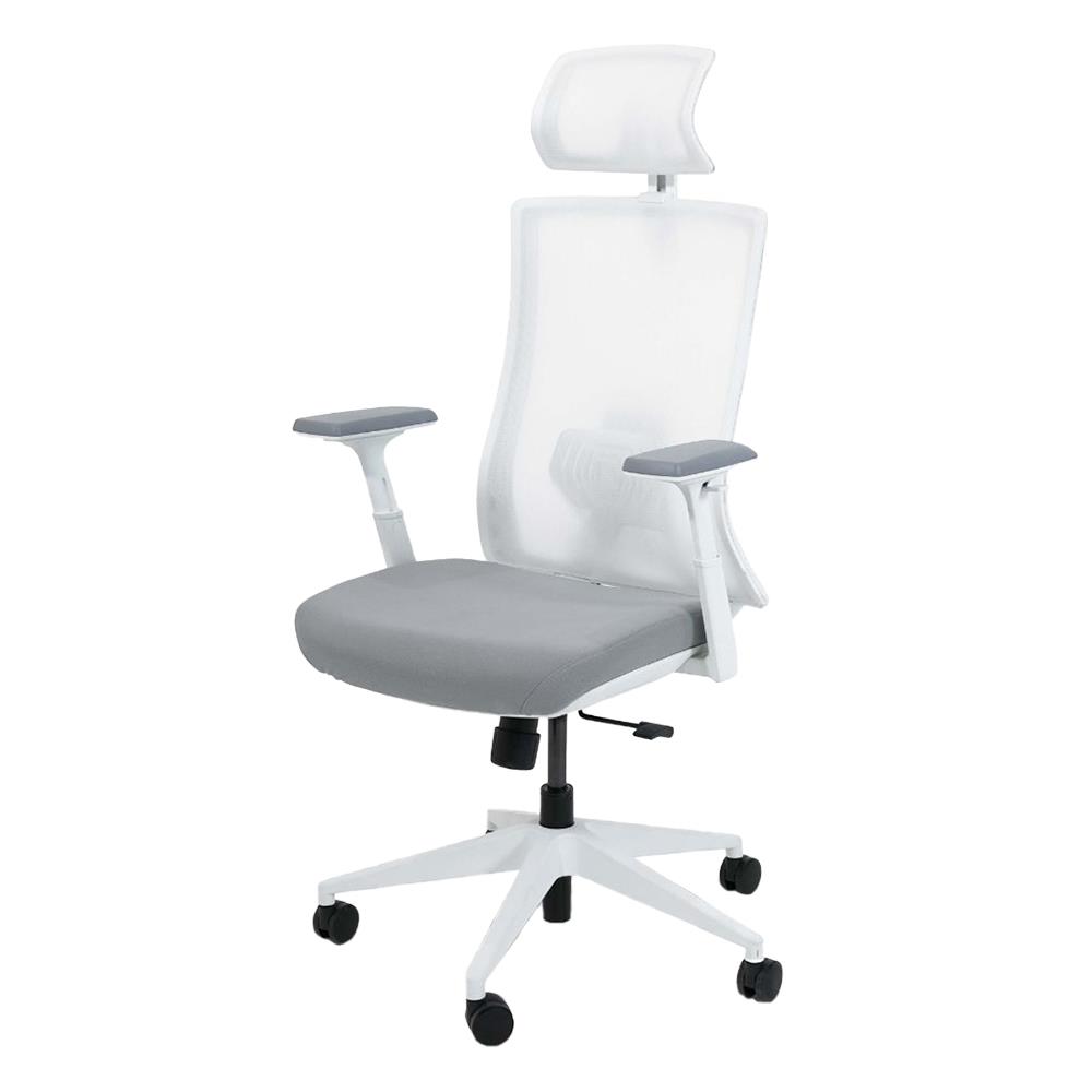 เก้าอี้สุขภาพ BEWELL FROZEN สีขาว