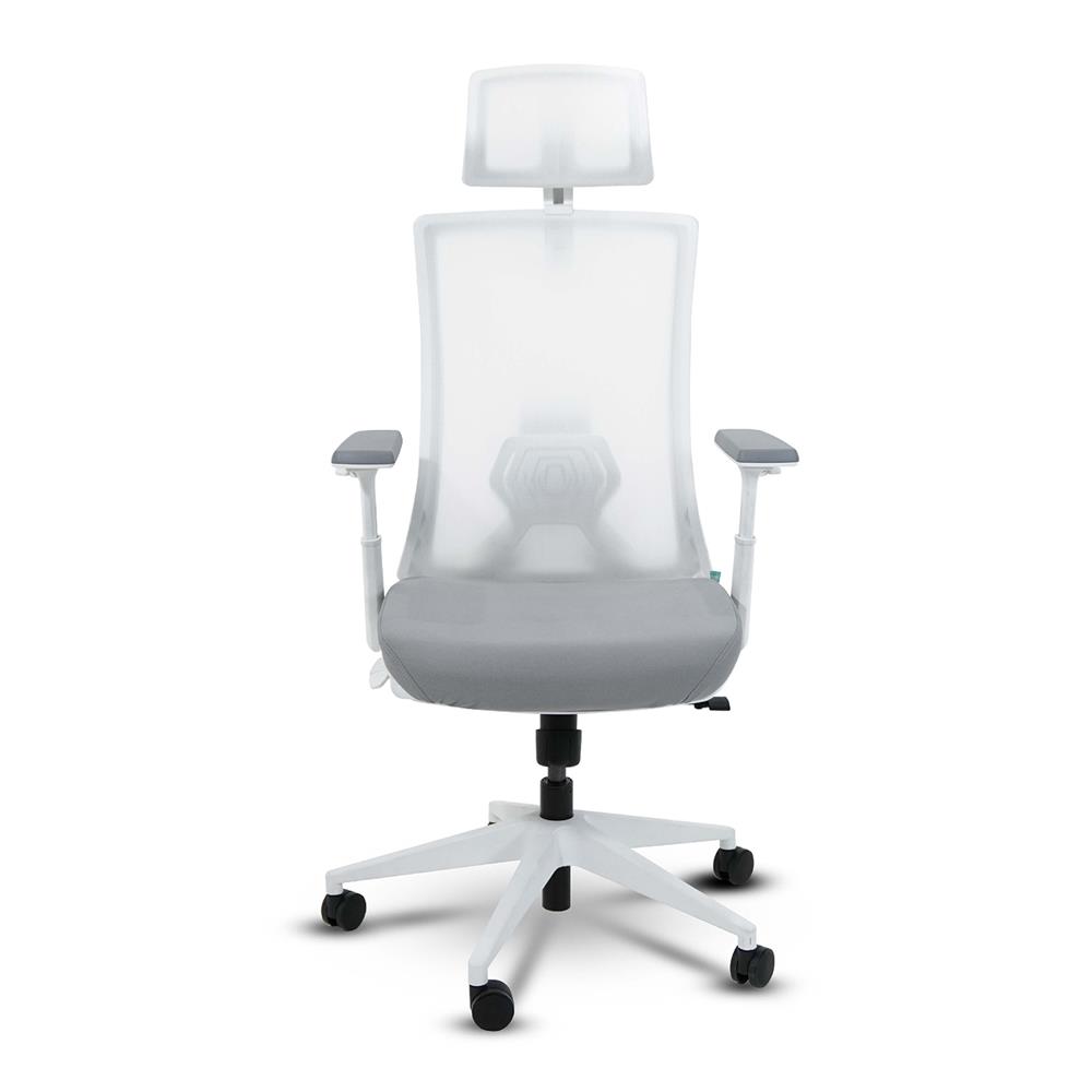 เก้าอี้สุขภาพ BEWELL FROZEN สีขาว