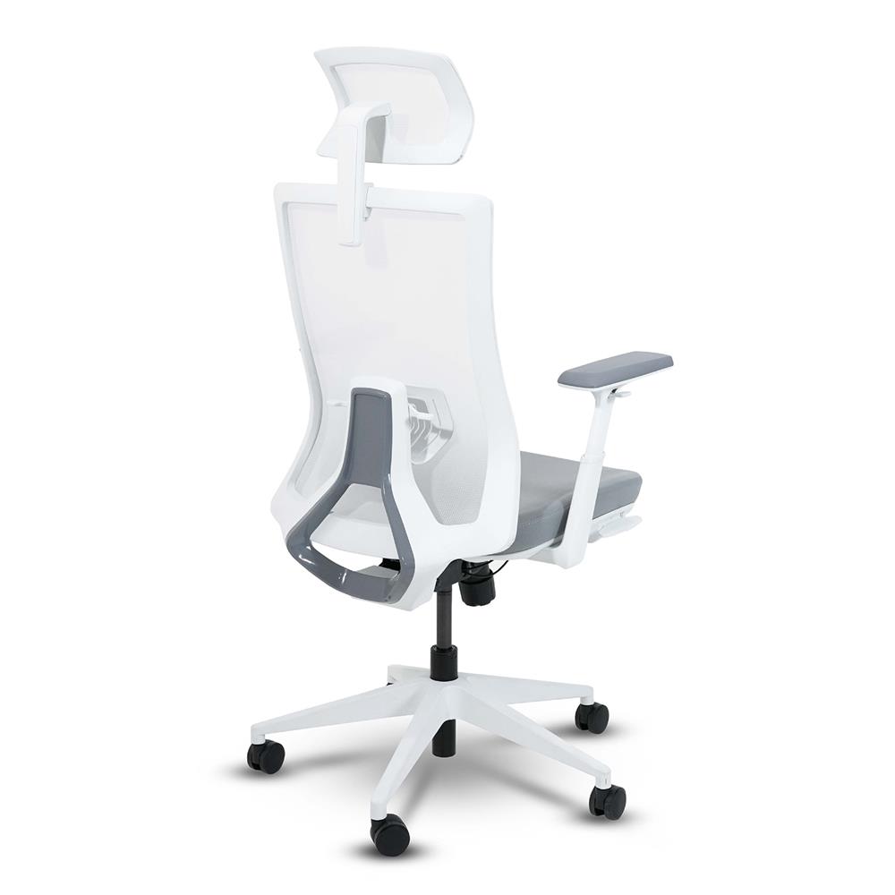 เก้าอี้สุขภาพ BEWELL FROZEN สีขาว