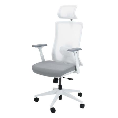 เก้าอี้สุขภาพ BEWELL FROZEN สีขาว_0