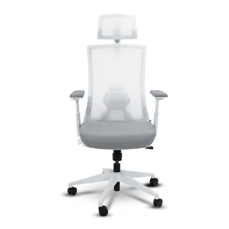 เก้าอี้สุขภาพ BEWELL FROZEN สีขาว_1