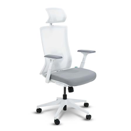 เก้าอี้สุขภาพ BEWELL FROZEN สีขาว_2