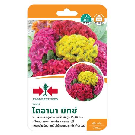 เมล็ดพันธุ์หงอนไก่ ไดอานา มิกซ์ ศรแดง