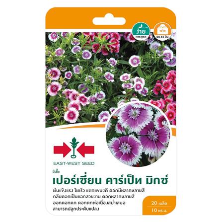 เมล็ดพันธุ์ผีเสื้อ เปอร์เซี่ยน คาร์เป็ท มิกซ์ ศรแดง_0