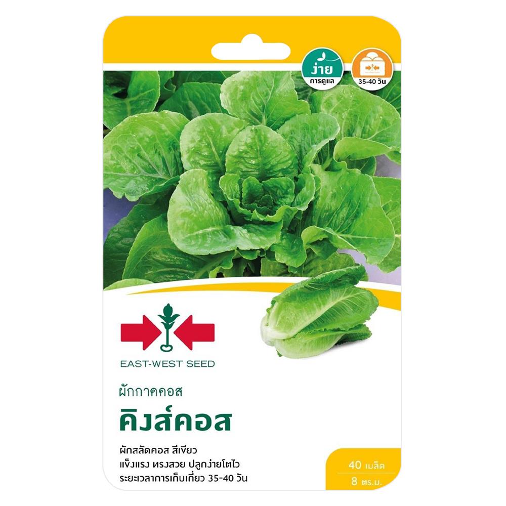เมล็ดพันธุ์ผักกาดคอส คิงส์คอส ศรแดง
