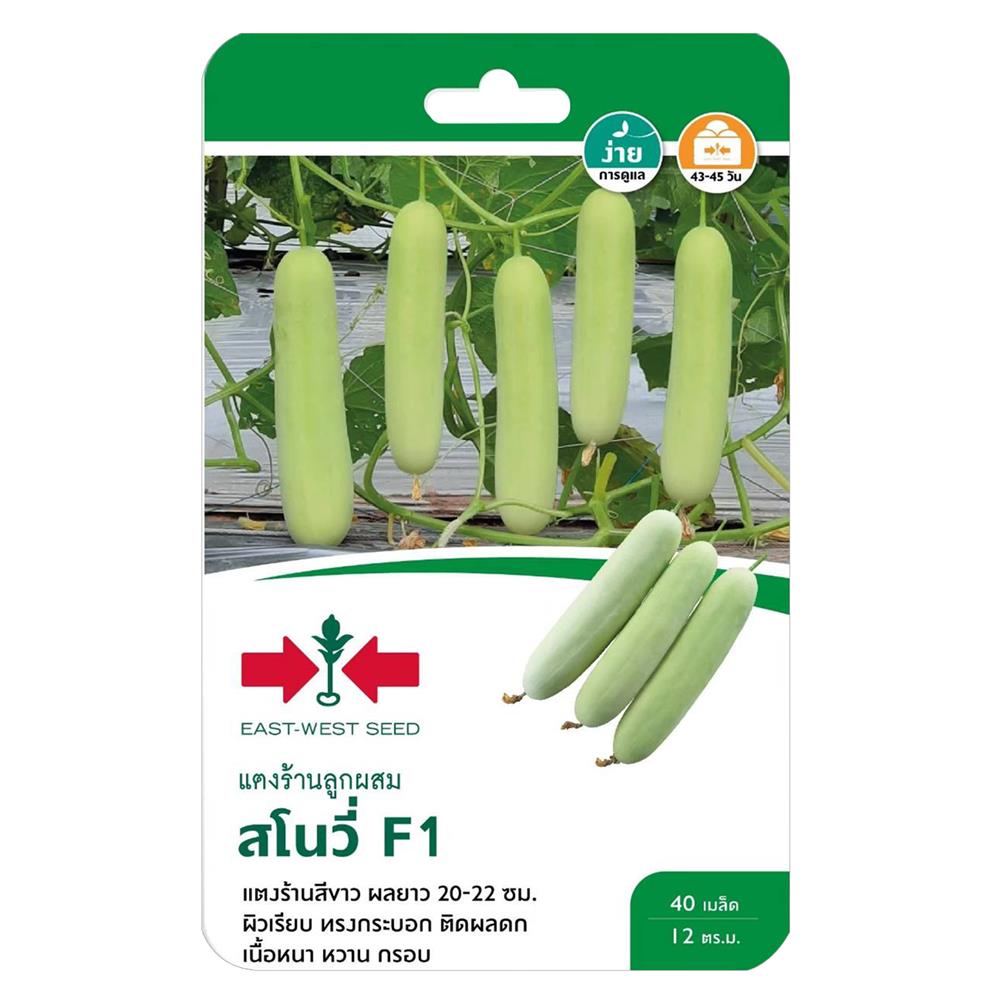 เมล็ดพันธุ์แตงร้าน F1 สโนวี่ ศรแดง