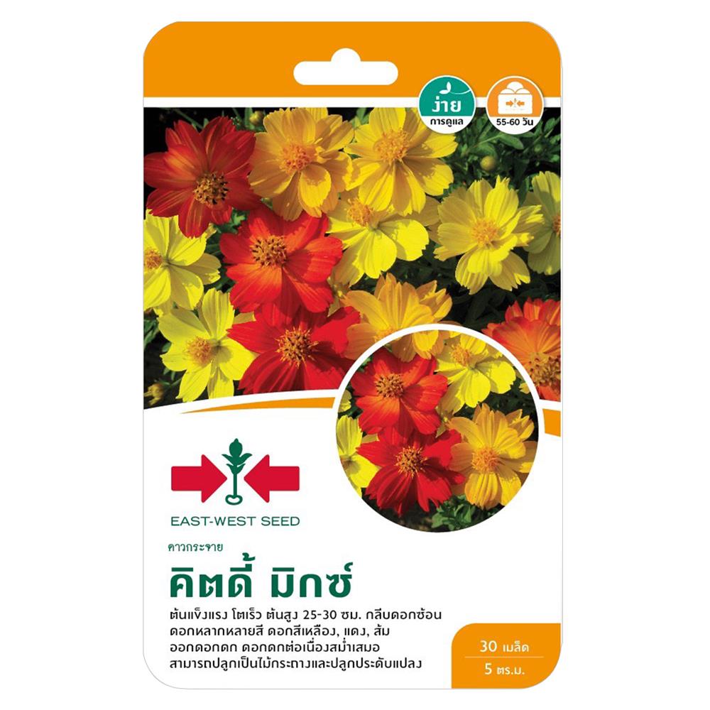 เมล็ดพันธุ์ดาวกระจาย คิตดี้ มิกซ์ ศรแดง