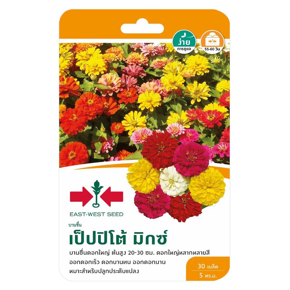 เมล็ดพันธุ์บานชื่น เป็ปปิโต้ มิกซ์ ศรแดง